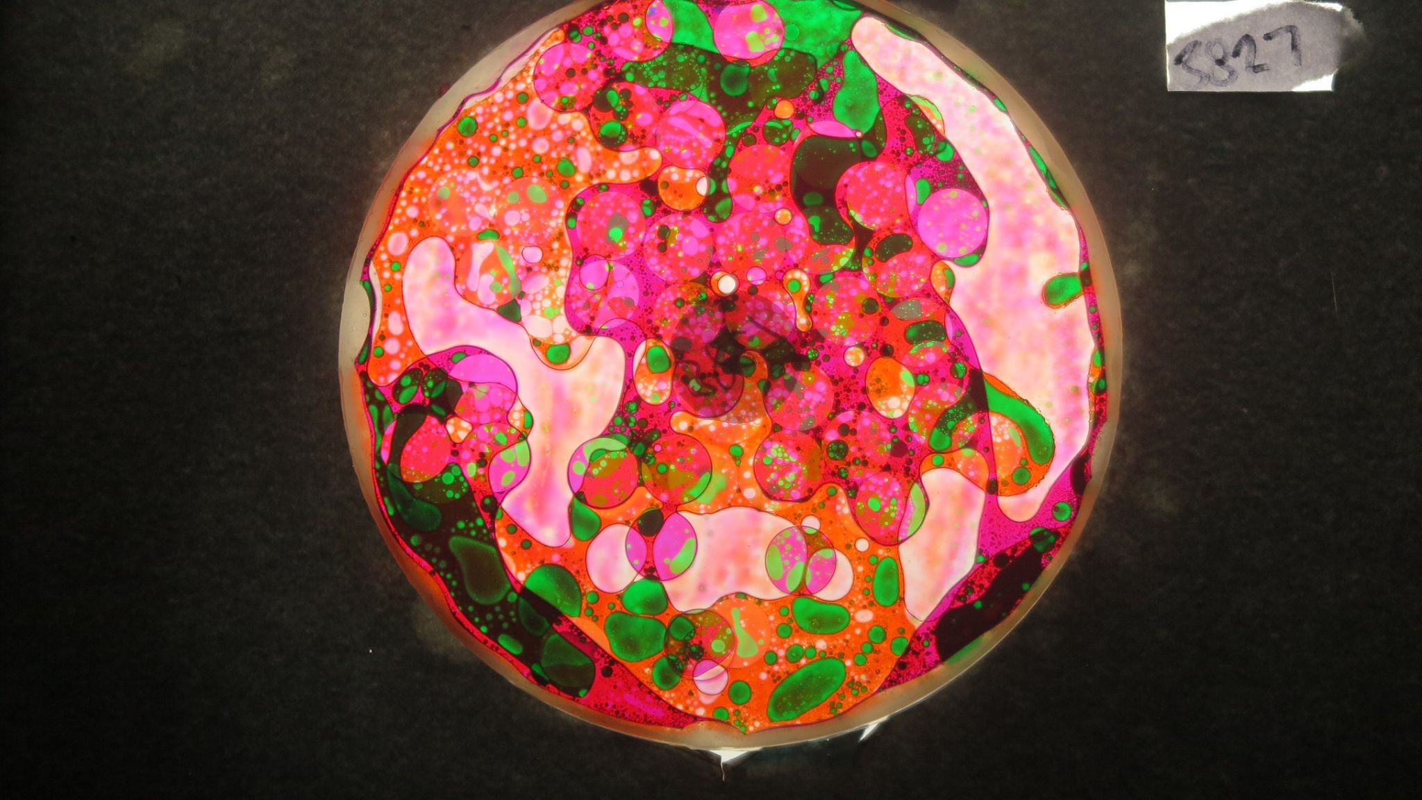 BV3827 bubble vision oil wheel